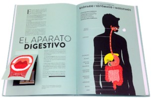 Aparato digestivo Anatomía