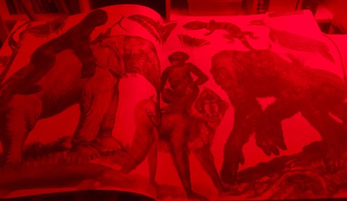 Contenido 1 iluminaturaleza