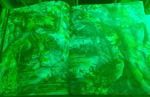 Contenido 2 iluminaturaleza