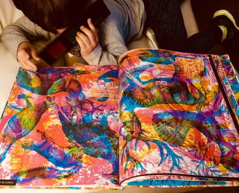 Blai iluminaturaleza