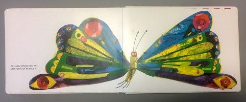 contenido 5 oruga glotonaº