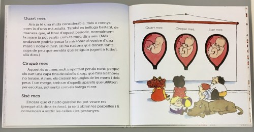 contenido 4 de donde venimos