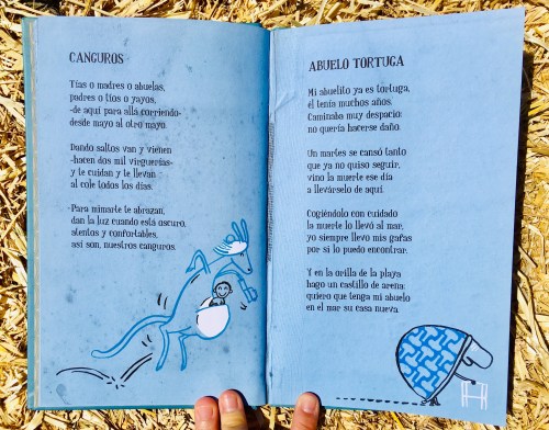 contenido 2 a lo bestia