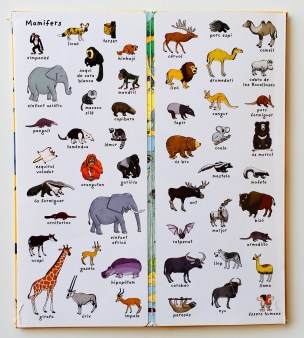 contenido 1 busca encuentra