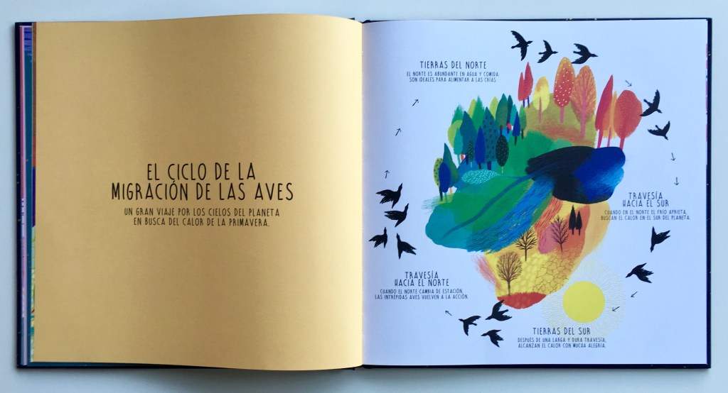 Infinito. Los ciclos mágicos del universo